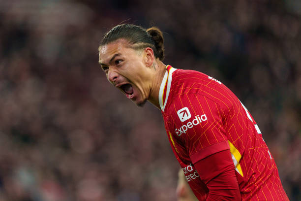 也凸显了中 也凸显了中